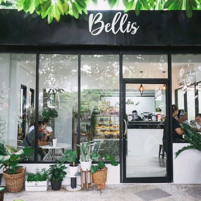 Bellis cafe in the garden 