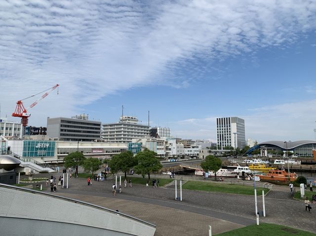 名古屋　広い！凄い！イルカショー❗️