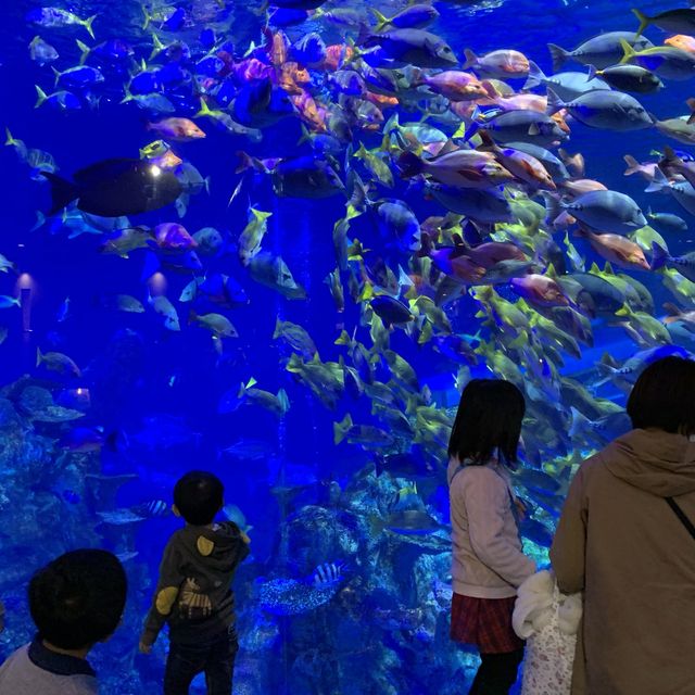 【三重】鳥羽水族館