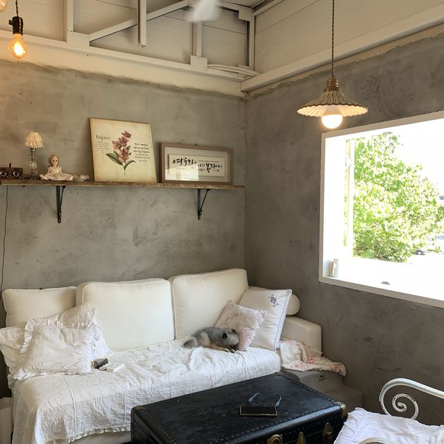 대전 송강동에 있는 너무너무 예쁜 주택개조카페 데이지🪴🏡