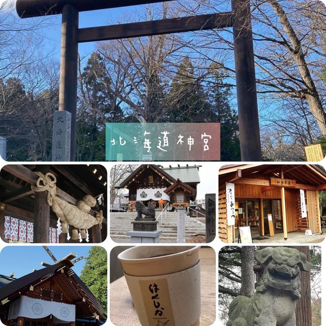 北海道神宮❤️冬日浪漫🌹神社⛩️