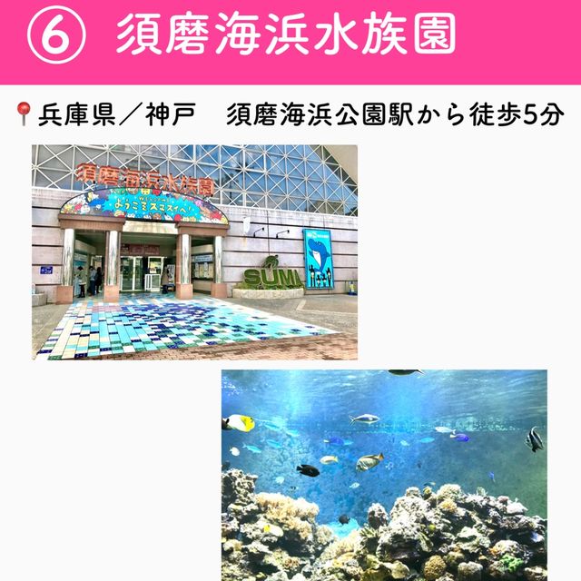 【兵庫】行ってよかった神戸の観光地7選