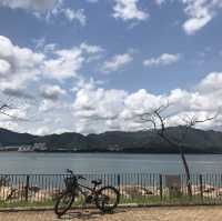 大圍至大埔單車一日遊