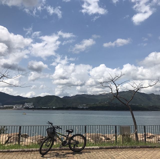 大圍至大埔單車一日遊