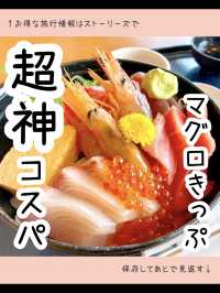 お得なきっぷ♪みさきまぐろきっぷでお出かけ🐟
