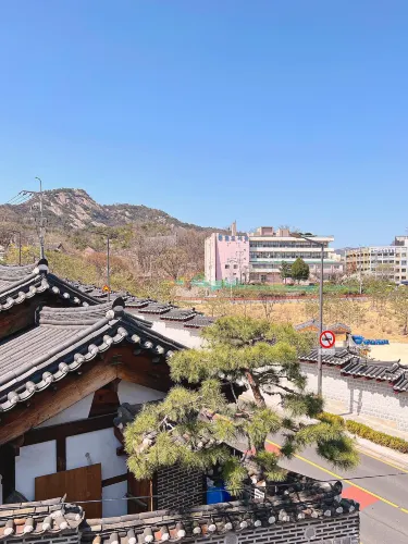 실시간) 서울 벚꽃뷰 카페 주말에 달려가야합니다!!🏃‍♂️🏃‍♀️