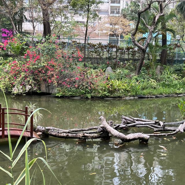 荃灣城門谷公園