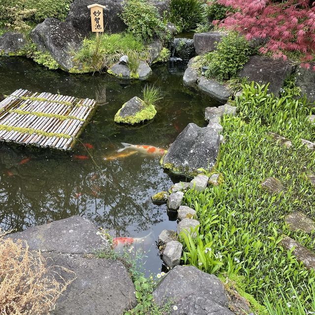 この世の極楽に鎌倉観光なら長谷寺