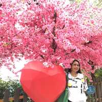 Ocean Park, The only park in Hong Kong to meet Pinguin and Panda