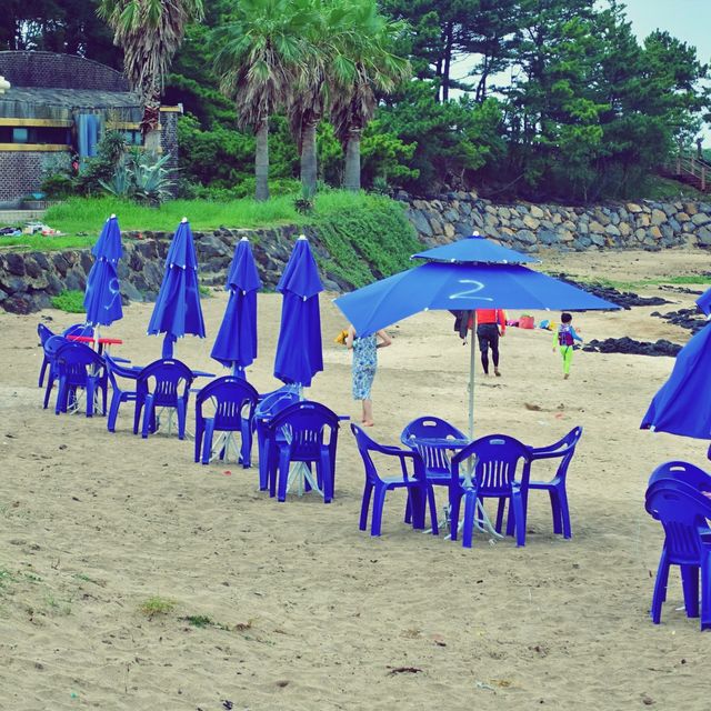 🏄 해수욕도 좋고~ 서핑도 좋고~ 하도해수욕장