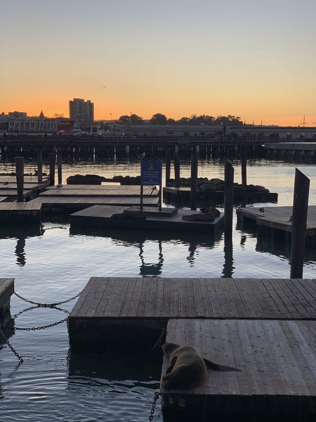 Pier 39 @ San Francisco 🇺🇸 