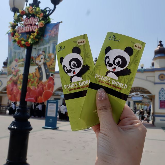 พาเที่ยว Everland เล่นรถไฟเหาะรางไม้ที่สูงที่สุด