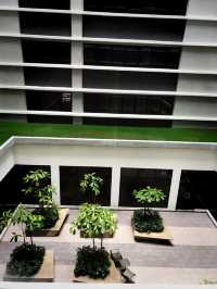 Calm Hotel in the City 