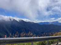 南投爬山去｜合歡山北峰、東峰，我登頂了