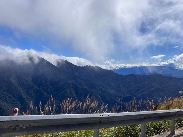南投爬山去｜合歡山北峰、東峰，我登頂了