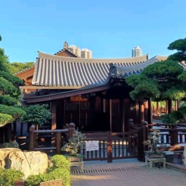 Serenity at Nan Lian Garden!