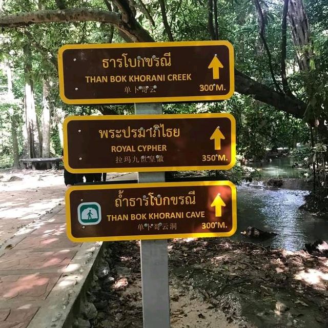 🌲อุทยานแห่งชาติธารโบกขรณี🌿