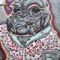 Fitzroy. A haven for street art lovers