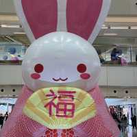 兔🐰年迎新春❤️沙田新年打卡位