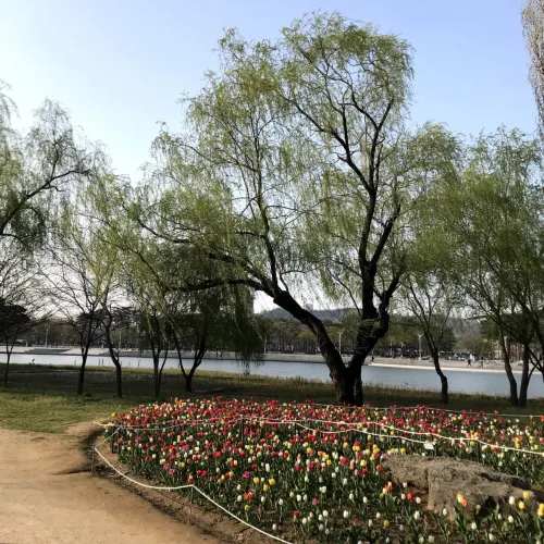 韓国/ソウル【麻浦区】ワールドカップ公園
