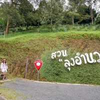 วันเดียว...เที่ยวพังงา กับ 4 จุดเช็คอิน