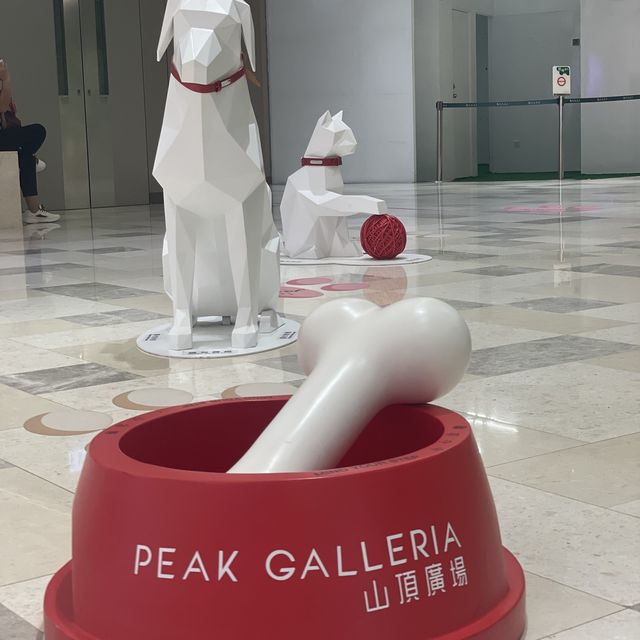 「狗仔髮型屋」打卡場景 「狗仔髮型屋」打卡場景