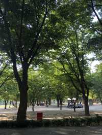 피크닉하며 힐링하기 좋은, 서울숲🌳
