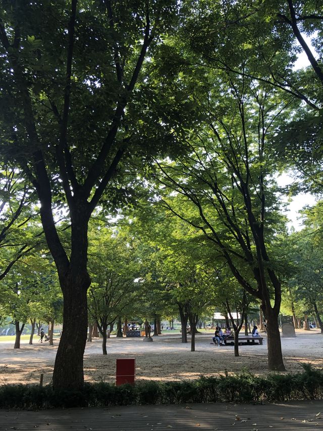 피크닉하며 힐링하기 좋은, 서울숲🌳