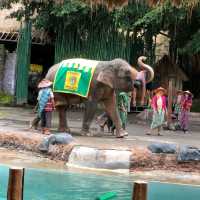 印尼峇里島野生動物園