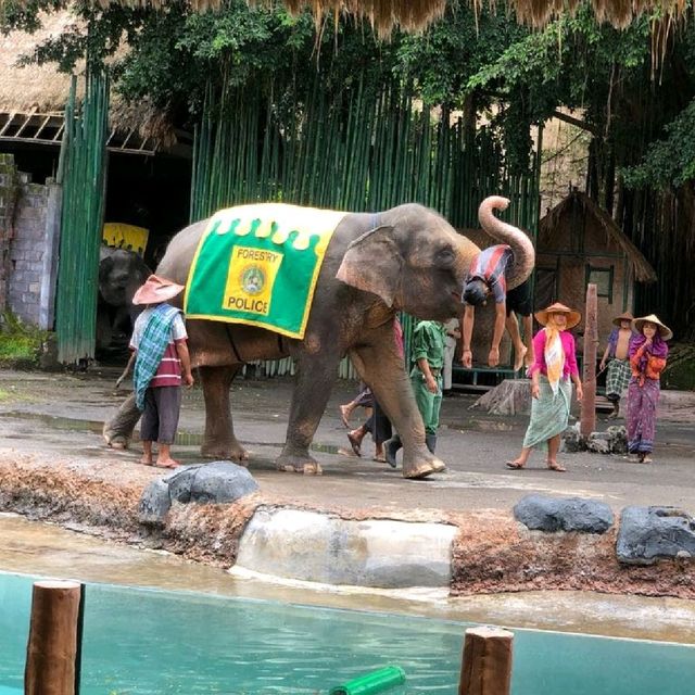 印尼峇里島野生動物園