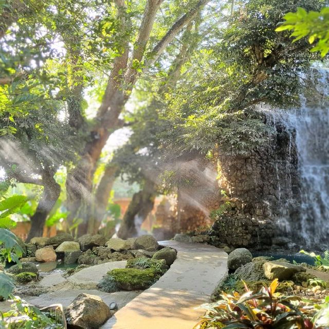 คาเฟ่บรรยากาศ​ร่มรื่น