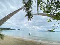 เกาะหมาก