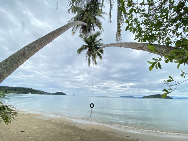 เกาะหมาก