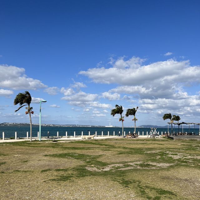 【沖縄･本島】海の色が美しい🙌とっても気持ち良いドライブコース