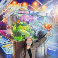 打卡一流！地道場景～搞錯3D藝趣坊