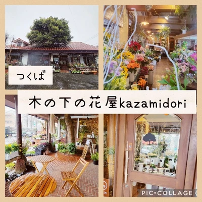 つくば 木の下の花屋kazamidori Trip Com つくばの旅のブログ