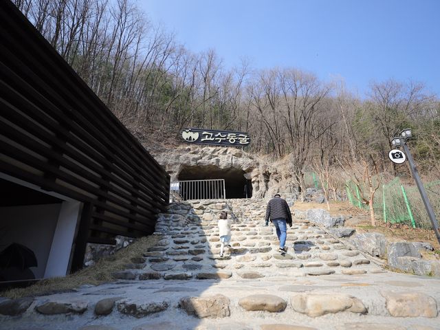 단양 고수동굴 신비로운 석회암동굴