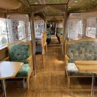 【一度は乗りたい観光列車】やませみかわせみ