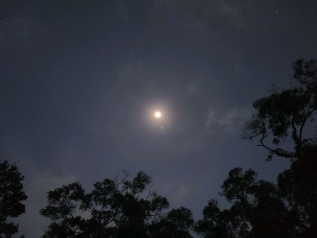 夏日露營系列~南山營地⛺
