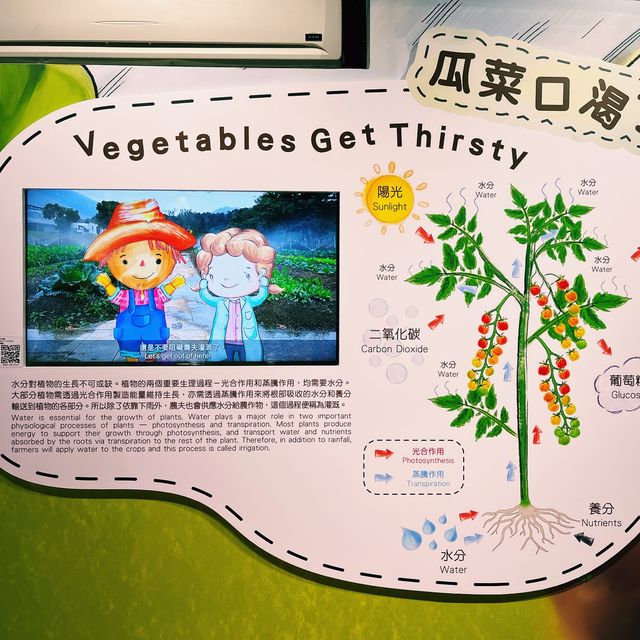 自然教育、野外研習、婚紗家庭攝影的好地點