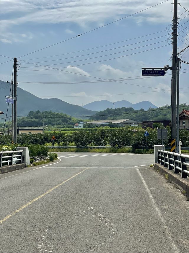 올해 여름 물놀이는 여기서 ! 산청 지리산장당계곡펜션 🤿 
