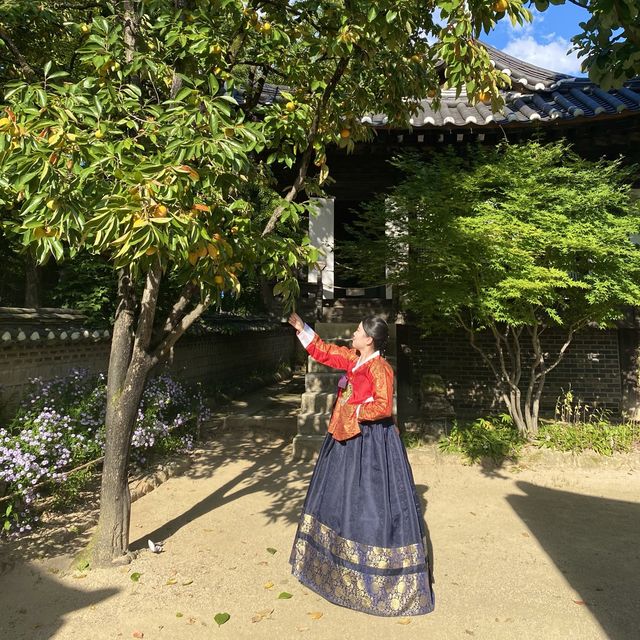 한복 인생샷을 남길 수 있는 한국민속촌🇰🇷