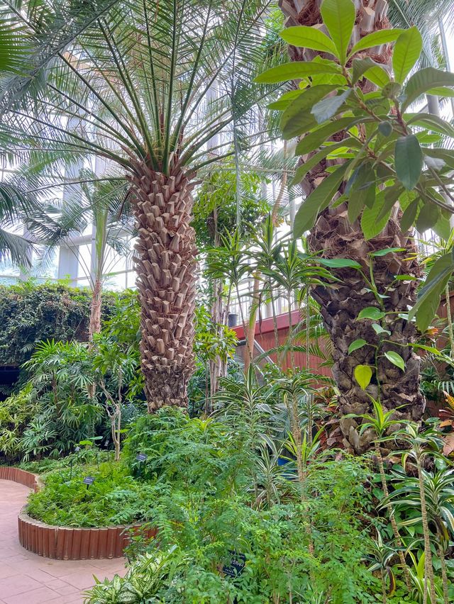 나무들과 함께 힐링하기 좋은 식물원🌳💚