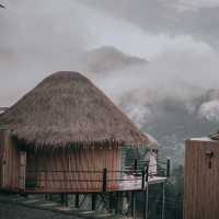 Cozy Wild เชียงใหม่