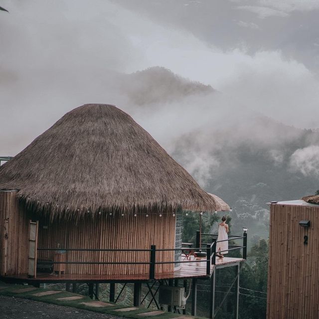 Cozy Wild เชียงใหม่