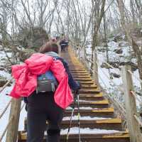 제주도 설산의 매력, 한라산은 겨울이 가장 예쁘다