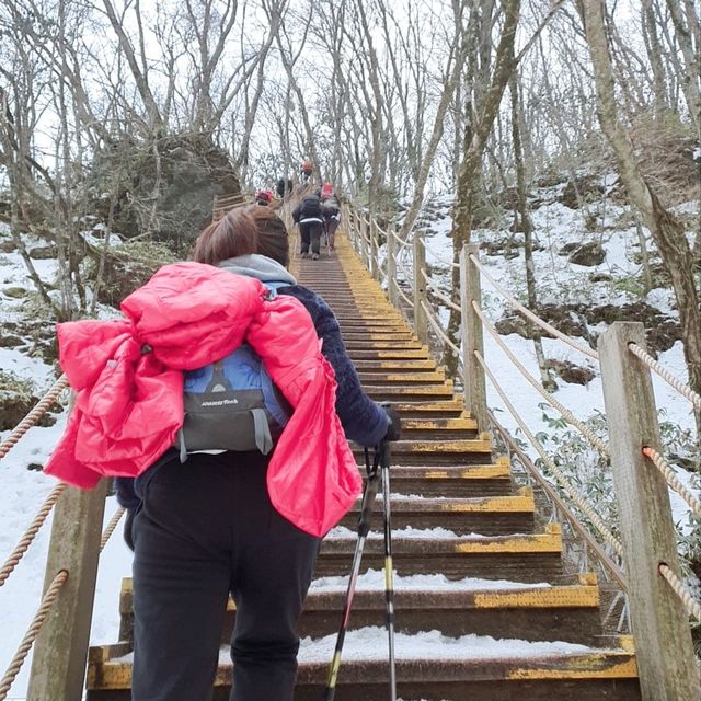 제주도 설산의 매력, 한라산은 겨울이 가장 예쁘다