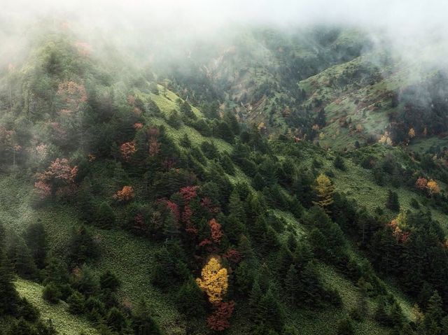 【長野】まるで海外のような絶景の紅葉！長野県志賀高原ののぞきをご紹介