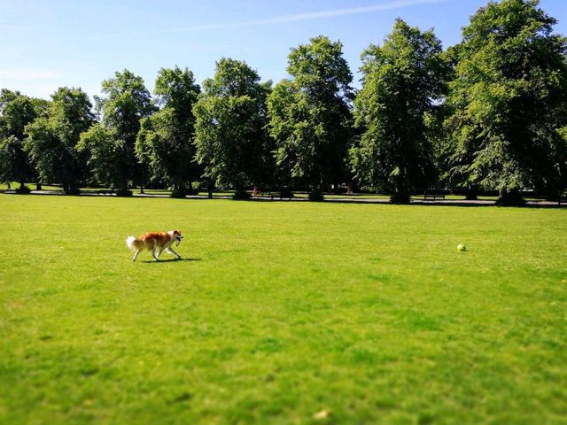 A wonderful day in Greenwich Park
