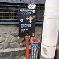 愛知県！常滑市の見まもり猫｢とこにゃん｣